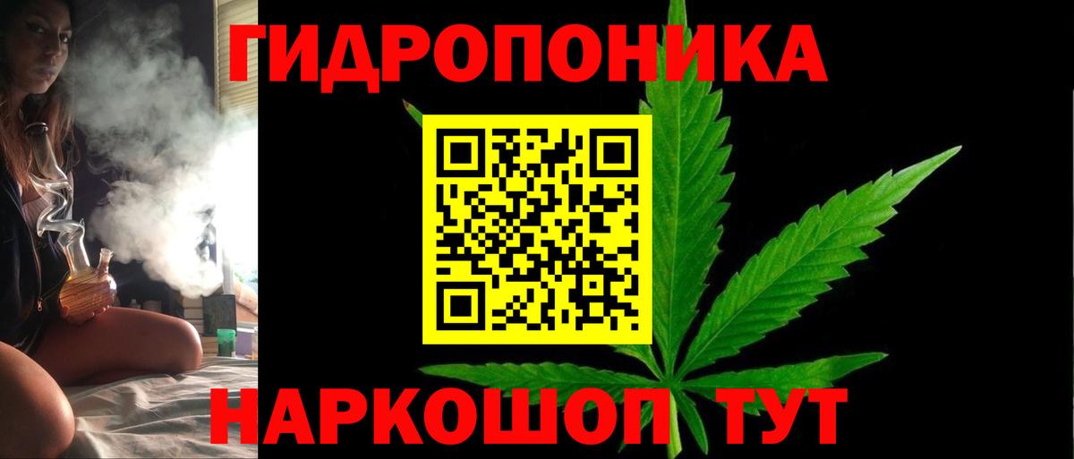 Бошки Шишки ГИДРОПОН Россия